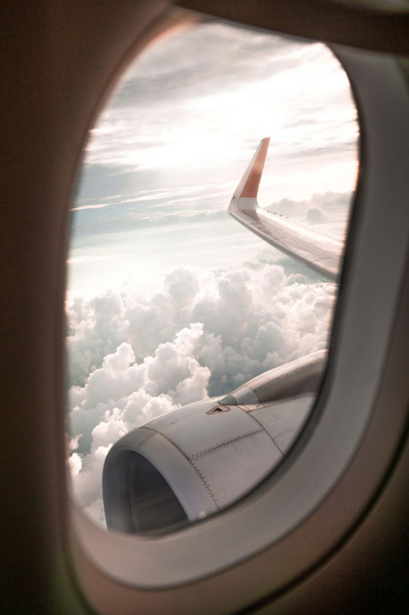 Flight View