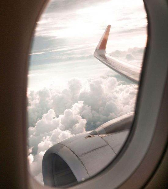Flight View